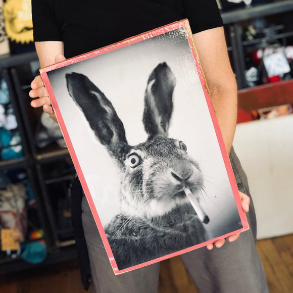 Vintage Animal Cabinet Doors by DDco Design