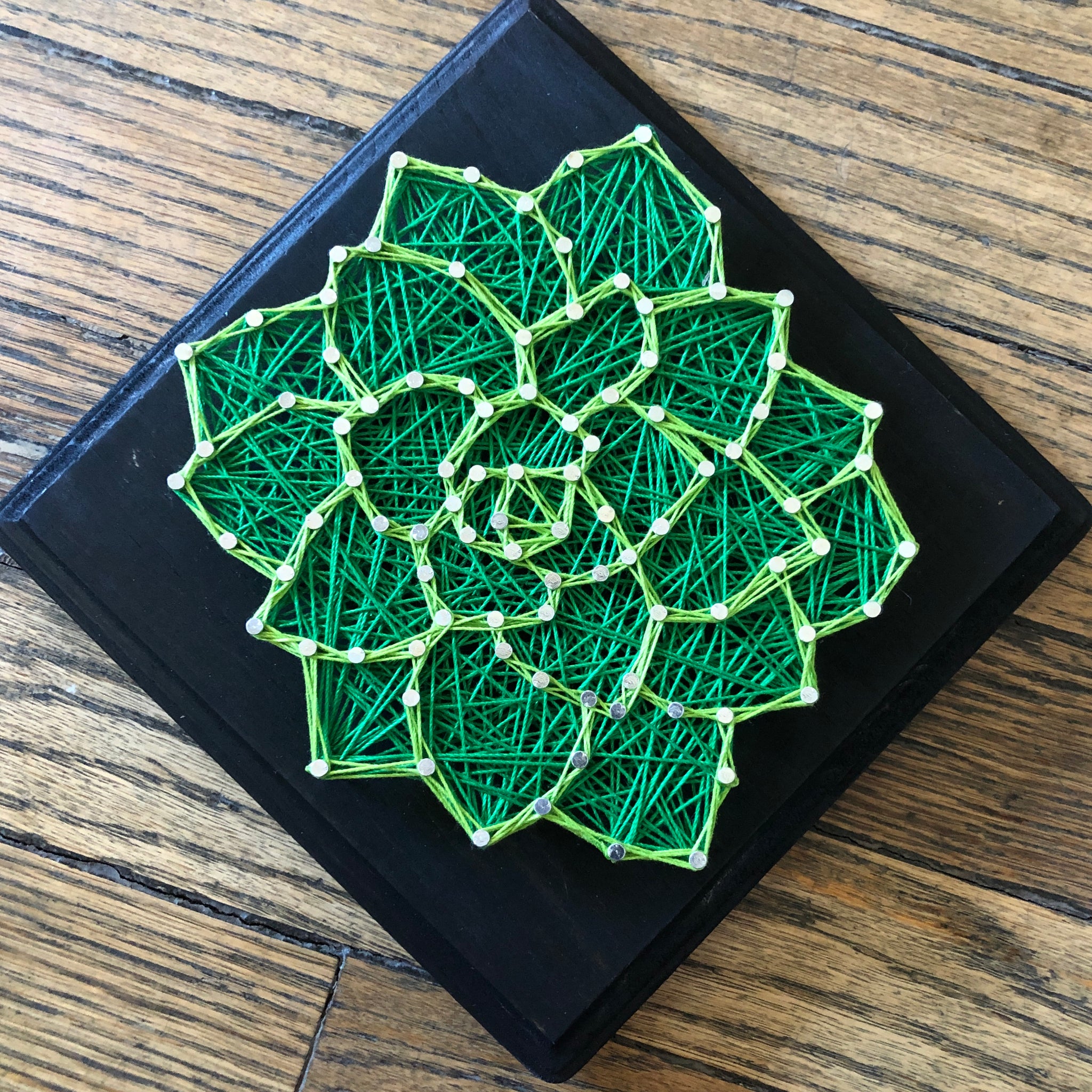 5x7 Cactus String Art by String & Stencil – Pop Cycle Tucson