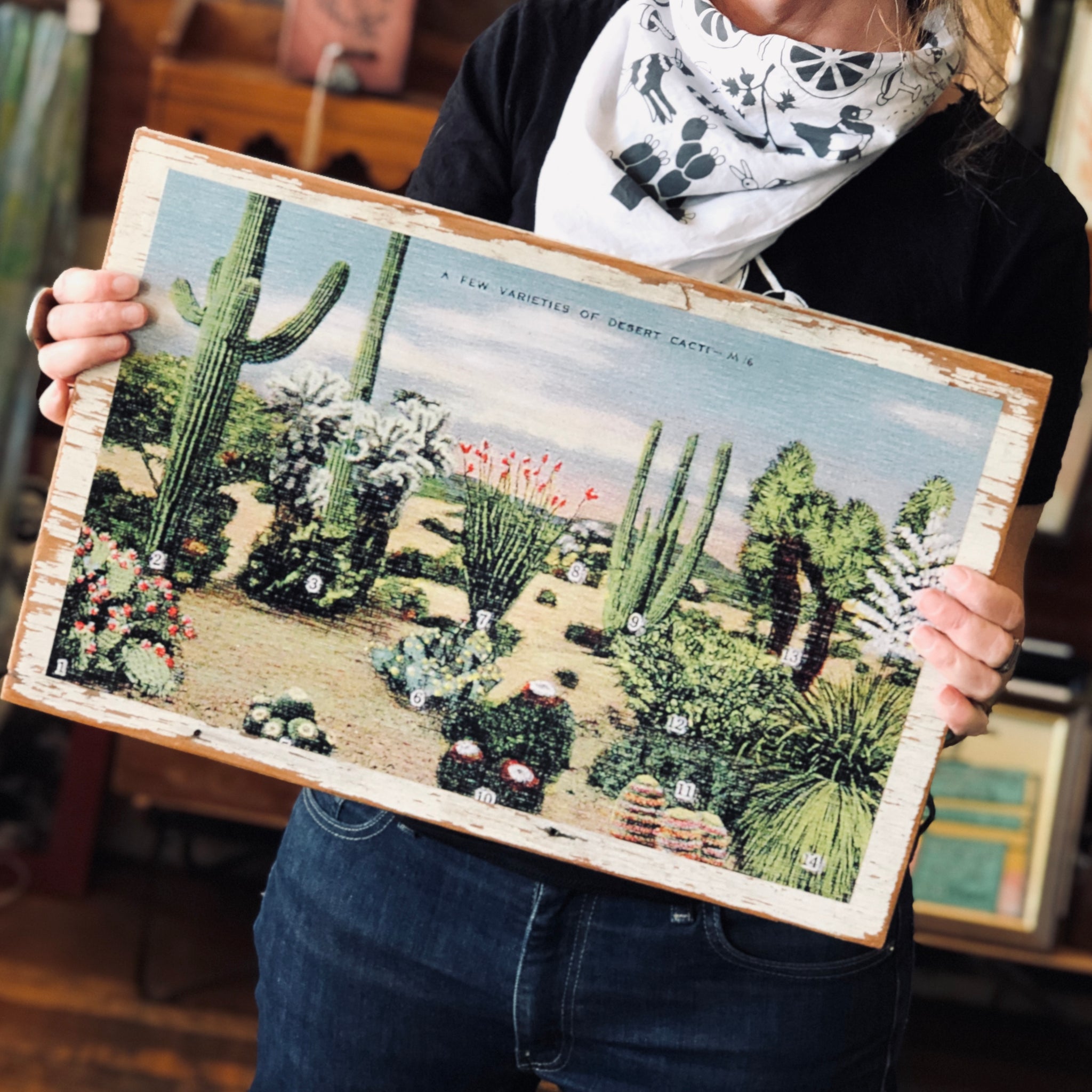succulents cabinet Succulents Cabinet Doors by DDco Design – Pop Cycle Tucson