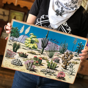 Succulents Cabinet Doors by DDco Design