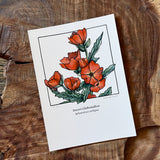 5x7 Cactus Blossom prints by Cacti Oasis