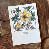 5x7 Cactus Blossom prints by Cacti Oasis*