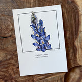 5x7 Cactus Blossom prints by Cacti Oasis*
