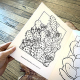 The Cacti Oasis Coloring Book by Cacti Oasis