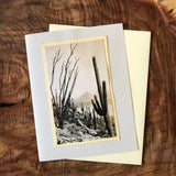 Vintage Cactus Greeting Cards