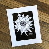 5x7 Cactus Blossom prints by Cacti Oasis