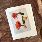 Vintage Cactus Greeting Cards