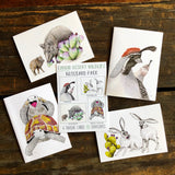 Desert Animals Card Set by Aall Forms of Life