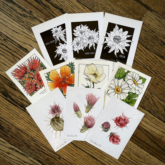 5x7 Cactus Blossom prints by Cacti Oasis