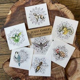 Sonoran Desert Critters Sticker Set by Aall Forms of Life
