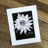 8x10 Cactus Prints by Cacti Oasis