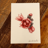 5x7 Cactus Blossom prints by Cacti Oasis*
