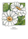 5x7 Cactus Blossom prints by Cacti Oasis