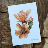 5x7 Cactus Blossom prints by Cacti Oasis