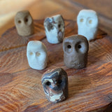 Small Ceramic Owls by Spring + Vine