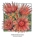 5x7 Cactus Blossom prints by Cacti Oasis*
