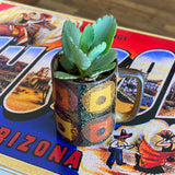 Cactus Cups