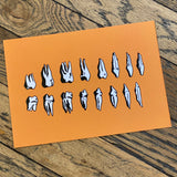 Art Prints by Sophie McTear, 5x7