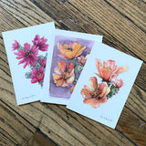 5x7 Cactus Blossom prints by Cacti Oasis