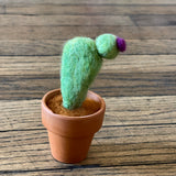 Felted Cacti by Woodland & Wool Creations