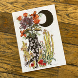 Marcy Ellis Postcards